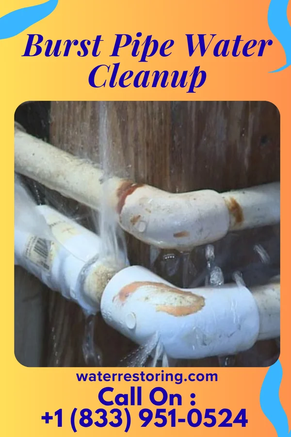 Burst Pipe Water Cleanup in Lapwai, ID