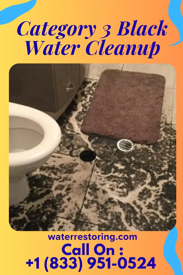 Category 3 Black Water Cleanup in Lapwai, ID