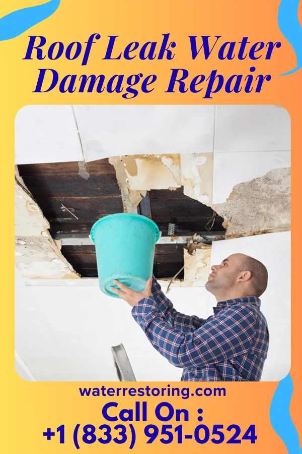 Roof Leak Water Damage Repair in Lapwai, ID
